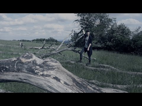 The Champion of Sanghelios (decomposed)