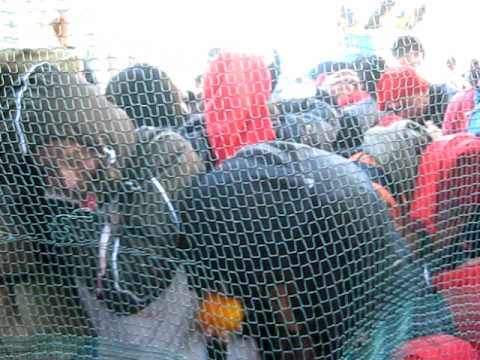 Carnevale di Ivrea 2011