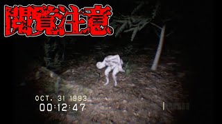 叫んだら最初からやり直しのホラーゲーム【DON'T SCREAM】