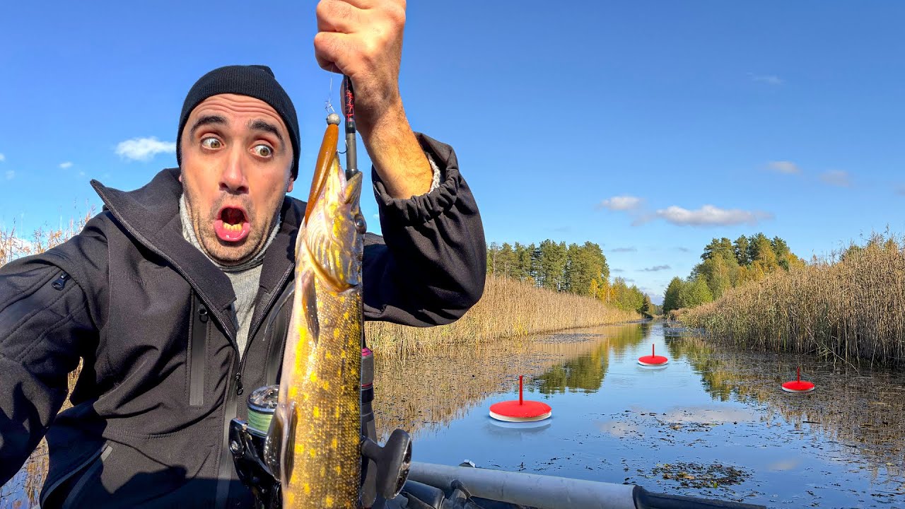 Ловля щуки на кружки и спиннинг. [24-Часа] На острове!