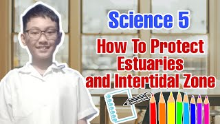 SCIENCE 5 | HOW TO PROTECT ESTUARIES AND INTERTIDAL ZONE