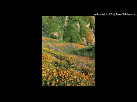 Saba x Chance the Rapper x YBN Cordae Type Beat | "Buckaroo"