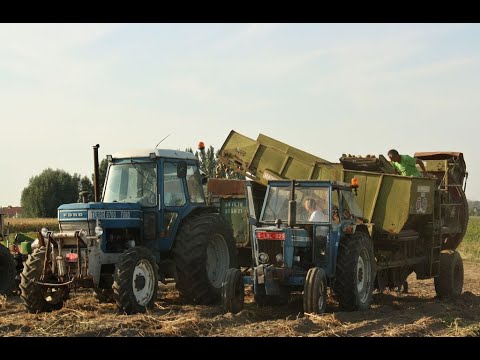 Landb. Dumortier - Rumbeke - Ford 4600 - Ford 6700 - Bergmann