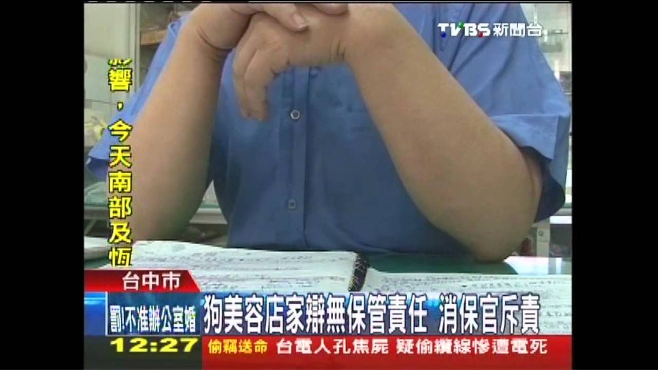 送狗美容咬斷繩逃脫　店家：沒保管責任