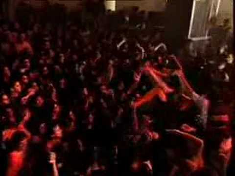 Call of the Wild - Die Toten Hosen