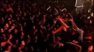 DIE TOTEN HOSEN - THE CALL OF THE WILD (ARGENTINA)