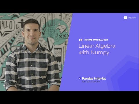 Linear Algebra Using Numpy Python Basics