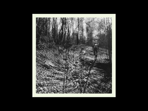topographies - Interior Spring (Full Album)