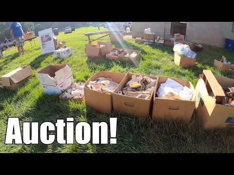 Auction Day - Buying Treasure in the Scorching Heat!