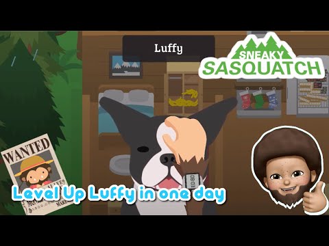 Sneaky Sasquatch Info - How to level up your dog in one day