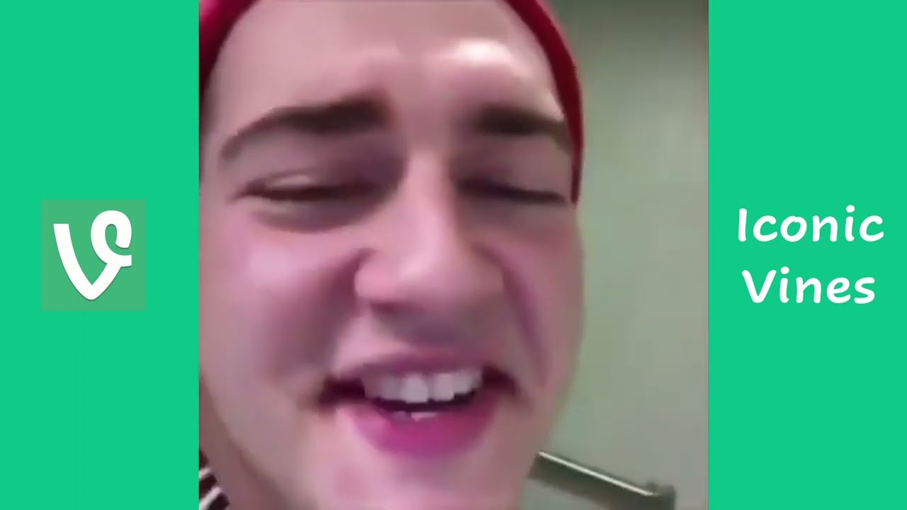 Iconic Vines To Quote Daily | Vine Compilation