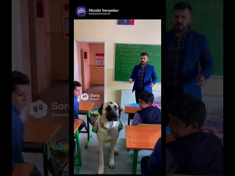 Hoşgeldin küçük ahmet😅😂