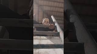 Download lagu Pls watch VDO👉https://youtu.be/jayMPOt0jTs?si=nK8k-4sddoL5qcsZ #horror #helpmemakethismakesense mp3