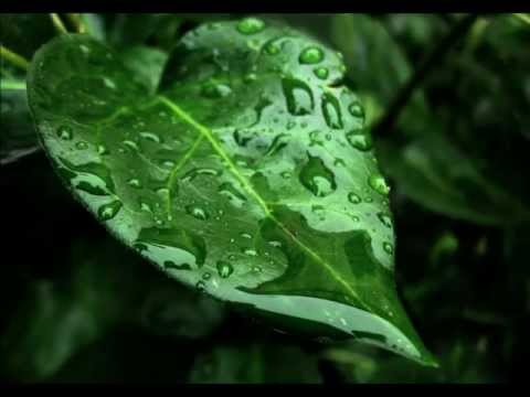 Johann Johannsson - Rainwater