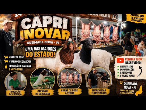 Olha essa exposição de caprinos em Queimada Nova no Piauí 