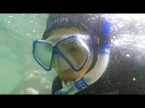 JJCC kings of the sea (ttagaebi battle round 2) in Yeongdeok