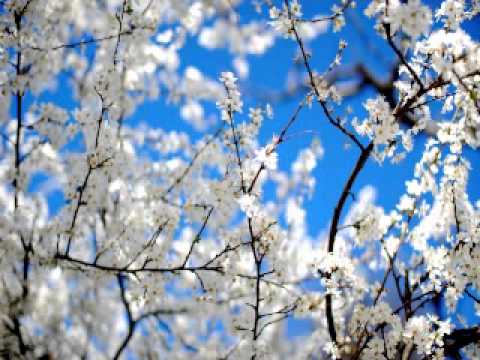 Maentrao-Call Me Spring
