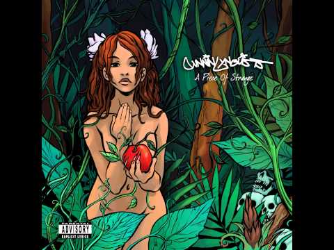 Cunninlynguists - America Loves Gangsters (feat. Tim Means)