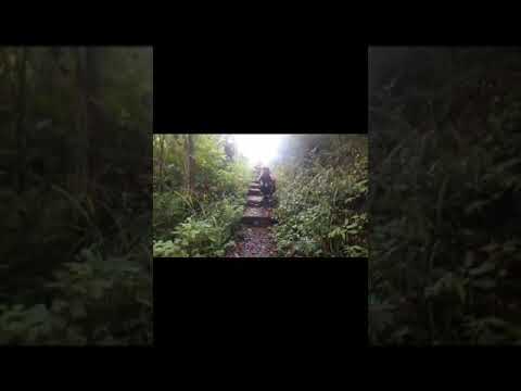 Du peó _ Mama (galo crew)