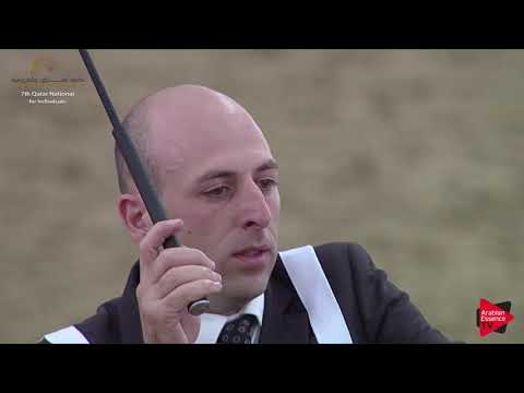 N.1 SH ALYA - 2019 Qatar Individuals - Yearling Fillies (Class 1A) .mp4