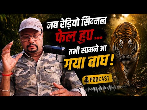 जब Radio Signal फेल हुए तभी सामने आ गया बाघ !  बाघों पर Radio Collar लगाने से आखिर किसने रोका था? 
