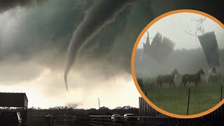 HORSES HIT BY TORNADO &amp; Escape!