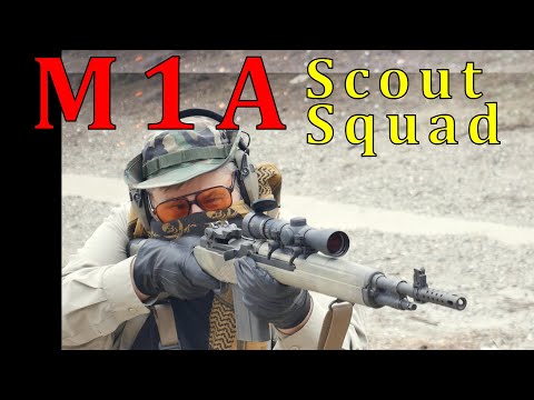 Springfield Armory M1A Scout Squad