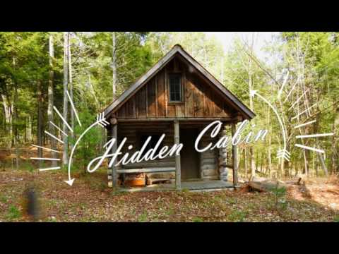 A Walk Through the Woods & Hidden Cabin ~ Forest Plant Life, Adirondack Park NY
