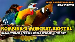 Download lagu MASTERAN TEMBAKAN KRISTAL || KAPAS TEMBAK LOVEBIRD CILILIN TENGKEK BUTO mp3 Download lagu MASTERAN TEMBAKAN KRISTAL || KAPAS TEMBAK LOVEBIRD CILILIN TENGKEK BUTO mp3