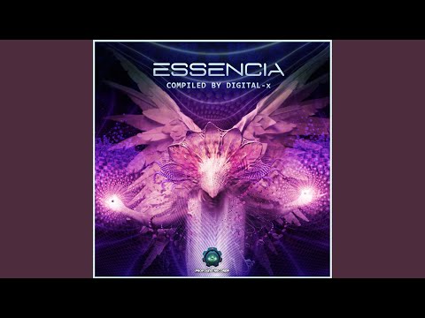 Analog Pulse (NevermindRmx)