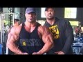 IFBB Pro Dusty Hanshaw destroys CHEST + DELTS five weeks out!