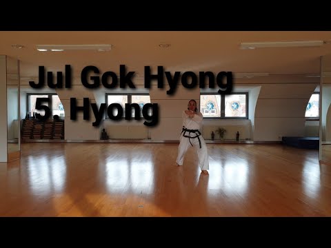 5. Hyong Taekwondo Jul Gok Hyong Langsam Rückenansicht / Instructional video