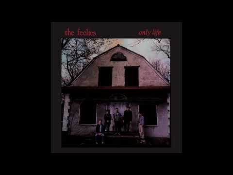 The Feelies - It's Only Life