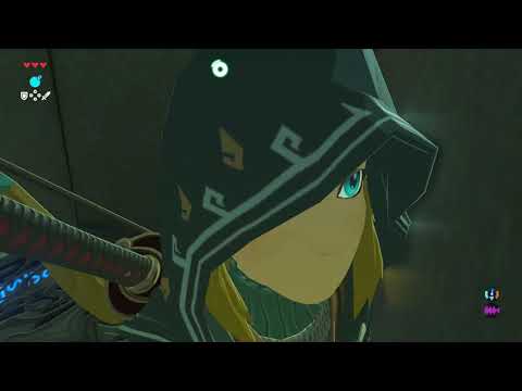 Zelda BOTW2 Preparations Chronicles 44 (Twin Memories Shrine Pt 1) [Connected Shrines]