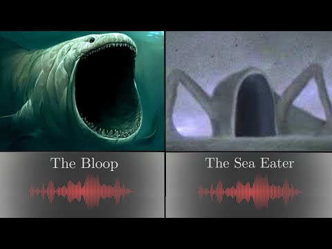 The Bloop vs The Sea Eater: Myth and Reality