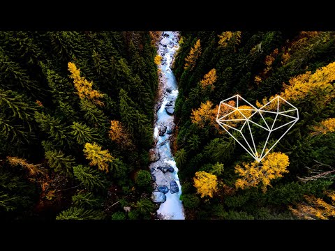 Amberoom ft. Blakkat & BabyGirl  - Forces Of Nature (Radio Slave Remix) [House / Crosstown Rebels]