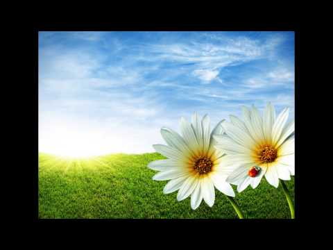 Fratii Budau - Golgota