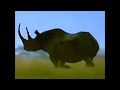 My Favorite Animal In Mama Mirabelle S Home Movies