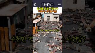 Download lagu The reason hell began after wiping out the sparrows mp3