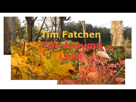 Tim Fatchen - The Autumn Lane (piano version) - relaxing nature video
