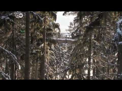 Bayerischer Wald - Wintersport, Natur und Handwerkstradition | Hin & weg