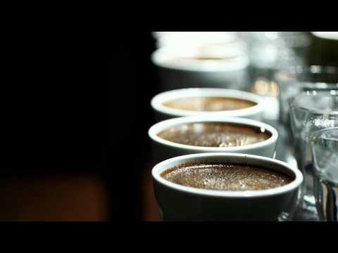 The Cupping Room: degustação de cafés especiais com Campos