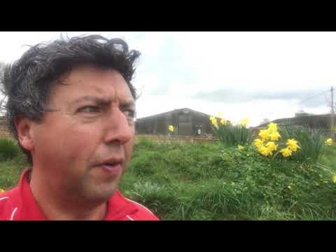 Covid Risk Management by Red Laces - Jonathan Dempsey