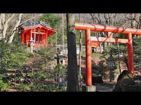 箱根九頭龍の森アクセス