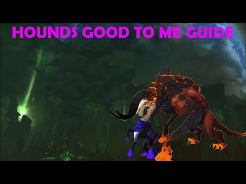 Hounds good to me WOW [GUIDE]