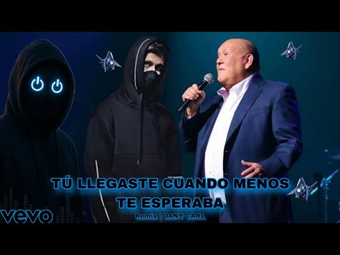 Alan Walker Style & Leo Dan - Tú Llegaste Cuando Menos Te Esperaba || Remix by DANY CARL 