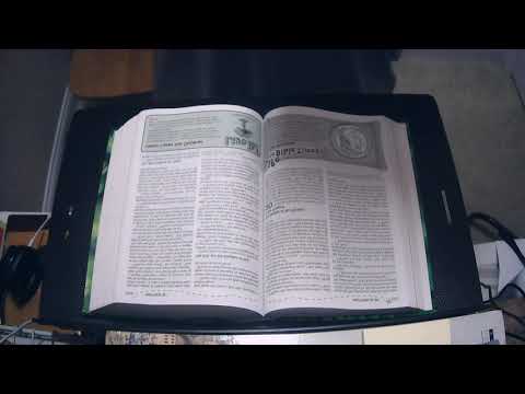 Adventure Bible: Matthew 18:10 - 20:34