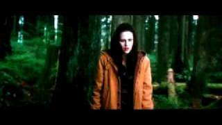 New Moon (The Meadow) - Alexandre Desplat