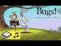 Générique Bugs Boomerang