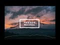 Friends MacroVision Remix